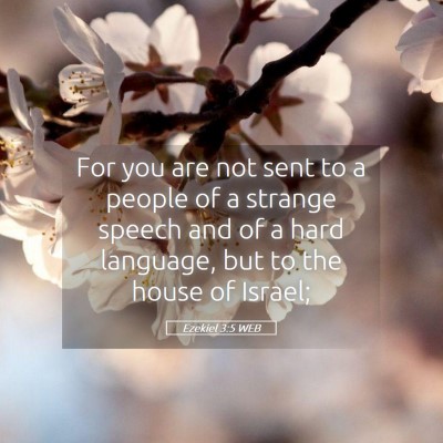 Picture 05 - Ezekiel 3:5 WEB - For you are not sent to a people of a strange - Bible Verse Picture