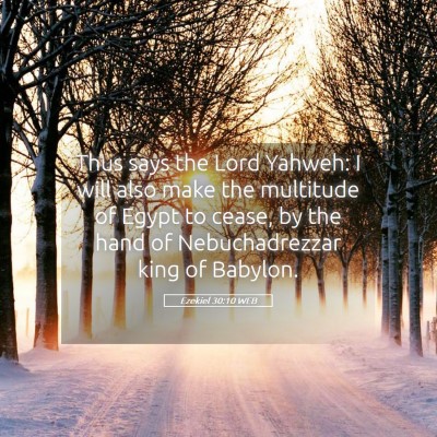 Picture 05 - Ezekiel 30:10 WEB - Thus says the Lord Yahweh: I will also make the - Bible Verse Picture