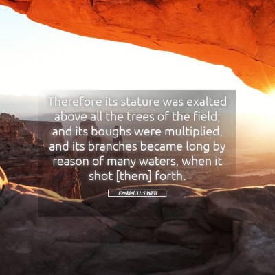 Picture 05 - Ezekiel 31:5 WEB - Therefore its stature was exalted above all the - Bible Verse Picture