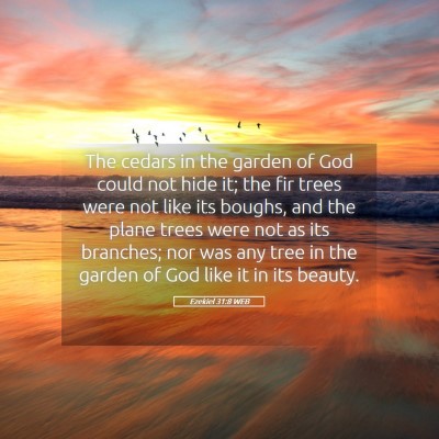 Picture 05 - Ezekiel 31:8 WEB - The cedars in the garden of God could not hide - Bible Verse Picture