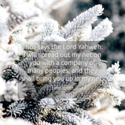 Picture 05 - Ezekiel 32:3 WEB - Thus says the Lord Yahweh: I will spread out my - Bible Verse Picture