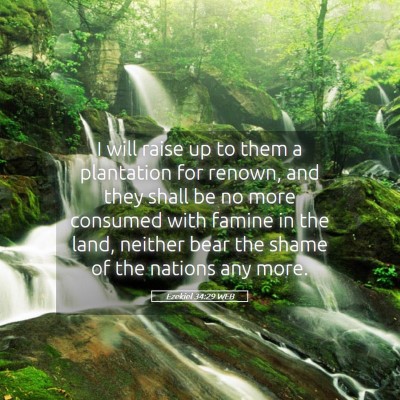 Picture 05 - Ezekiel 34:29 WEB - I will raise up to them a plantation for renown, - Bible Verse Picture