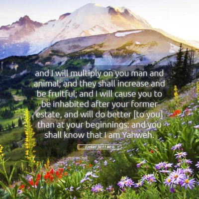 Picture 05 - Ezekiel 36:11 WEB - and I will multiply on you man and animal; and - Bible Verse Picture