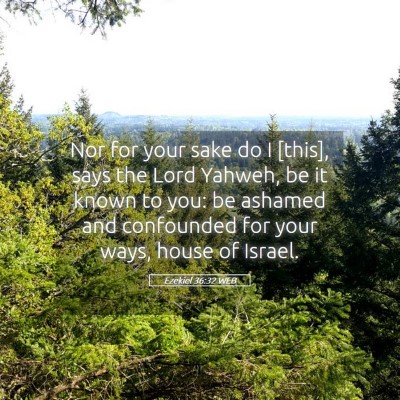 Picture 05 - Ezekiel 36:32 WEB - Nor for your sake do I [this], says the Lord - Bible Verse Picture