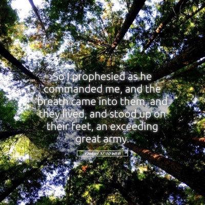 Picture 05 - Ezekiel 37:10 WEB - So I prophesied as he commanded me, and the - Bible Verse Picture