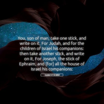 Picture 05 - Ezekiel 37:16 WEB - You, son of man, take one stick, and write on it, - Bible Verse Picture