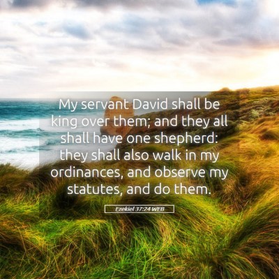 Picture 05 - Ezekiel 37:24 WEB - My servant David shall be king over them; and - Bible Verse Picture