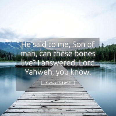 Picture 05 - Ezekiel 37:3 WEB - He said to me, Son of man, can these bones live? - Bible Verse Picture