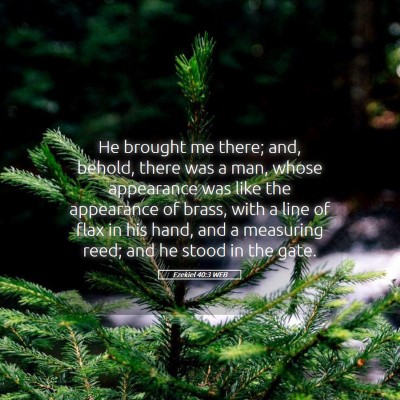 Picture 05 - Ezekiel 40:3 WEB - He brought me there; and, behold, there was a - Bible Verse Picture