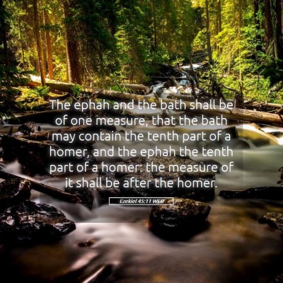 Picture 05 - Ezekiel 45:11 WEB - The ephah and the bath shall be of one measure, - Bible Verse Picture