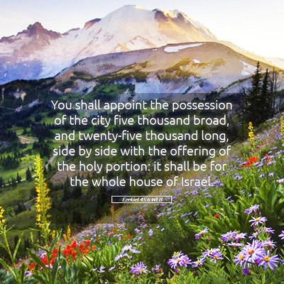 Picture 05 - Ezekiel 45:6 WEB - You shall appoint the possession of the city five - Bible Verse Picture