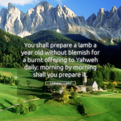 Picture 05 - Ezekiel 46:13 WEB - You shall prepare a lamb a year old without - Bible Verse Picture