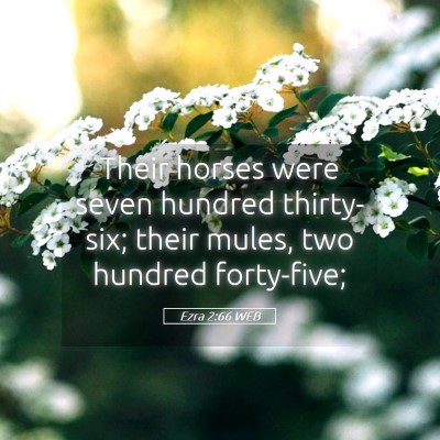 Picture 05 - Ezra 2:66 WEB - Their horses were seven hundred thirty-six; their - Bible Verse Picture