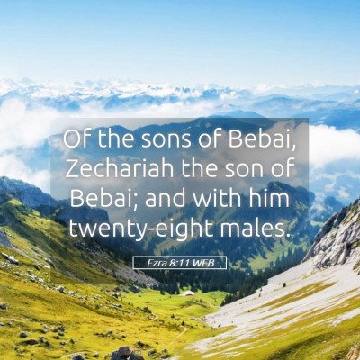 Picture 05 - Ezra 8:11 WEB - Of the sons of Bebai, Zechariah the son of Bebai; - Bible Verse Picture