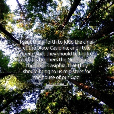 Picture 05 - Ezra 8:17 WEB - I sent them forth to Iddo the chief at the place - Bible Verse Picture