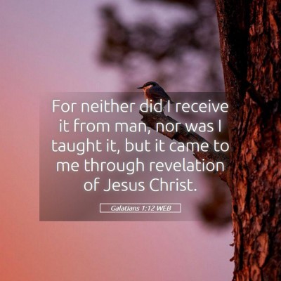 Picture 05 - Galatians 1:12 WEB - For neither did I receive it from man, nor was I - Bible Verse Picture