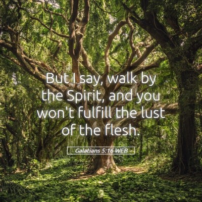 Picture 05 - Galatians 5:16 WEB - But I say, walk by the Spirit, and you won't - Bible Verse Picture