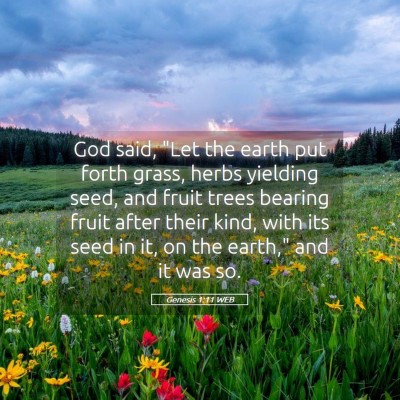 Picture 05 - Genesis 1:11 WEB - God said, 