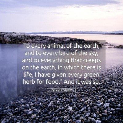 Picture 05 - Genesis 1:30 WEB - To every animal of the earth, and to every bird - Bible Verse Picture