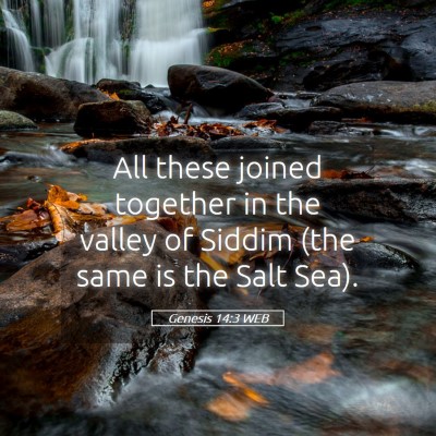 Picture 05 - Genesis 14:3 WEB - All these joined together in the valley of Siddim - Bible Verse Picture