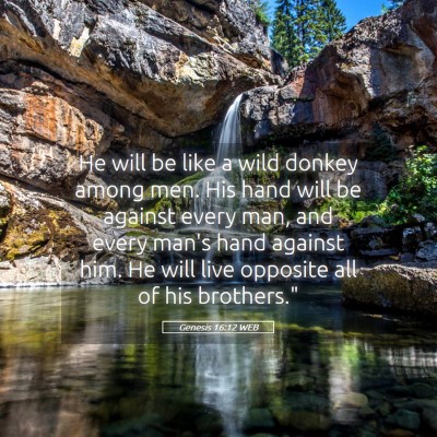 Picture 05 - Genesis 16:12 WEB - He will be like a wild donkey among men. His hand - Bible Verse Picture