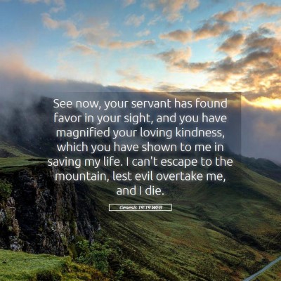 Picture 05 - Genesis 19:19 WEB - See now, your servant has found favor in your - Bible Verse Picture