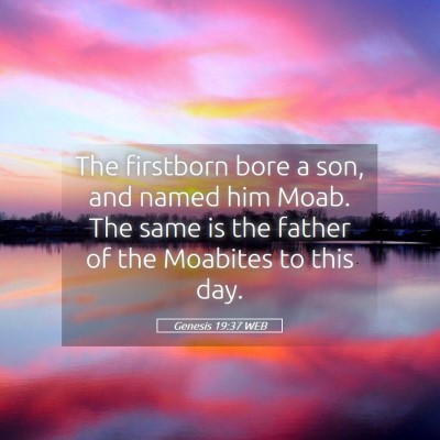 Picture 05 - Genesis 19:37 WEB - The firstborn bore a son, and named him Moab. The - Bible Verse Picture