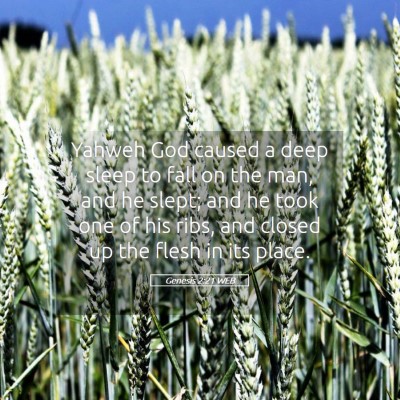 Picture 05 - Genesis 2:21 WEB - Yahweh God caused a deep sleep to fall on the - Bible Verse Picture