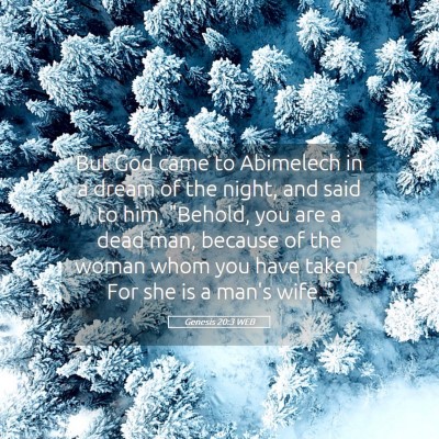 Picture 05 - Genesis 20:3 WEB - But God came to Abimelech in a dream of the - Bible Verse Picture