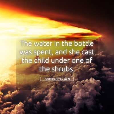 Picture 05 - Genesis 21:15 WEB - The water in the bottle was spent, and she cast - Bible Verse Picture