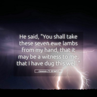 Picture 05 - Genesis 21:30 WEB - He said, 