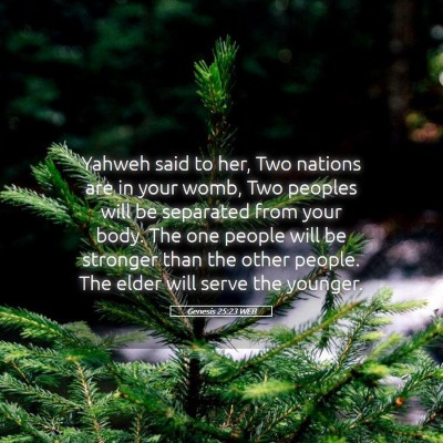 Picture 05 - Genesis 25:23 WEB - Yahweh said to her, Two nations are in your womb, - Bible Verse Picture