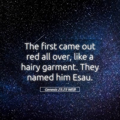Picture 05 - Genesis 25:25 WEB - The first came out red all over, like a hairy - Bible Verse Picture