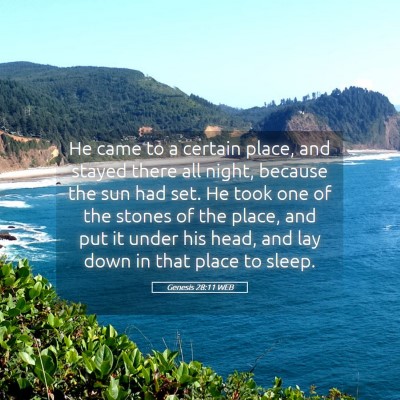 Picture 05 - Genesis 28:11 WEB - He came to a certain place, and stayed there all - Bible Verse Picture