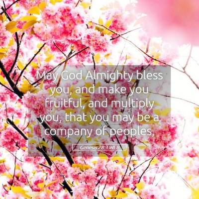 Picture 05 - Genesis 28:3 WEB - May God Almighty bless you, and make you - Bible Verse Picture