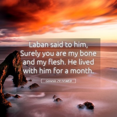 Picture 05 - Genesis 29:14 WEB - Laban said to him, Surely you are my bone and my - Bible Verse Picture