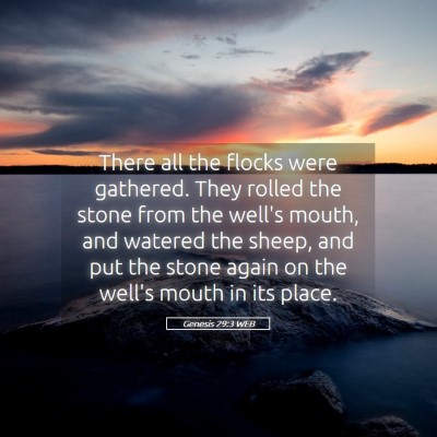 Picture 05 - Genesis 29:3 WEB - There all the flocks were gathered. They rolled - Bible Verse Picture
