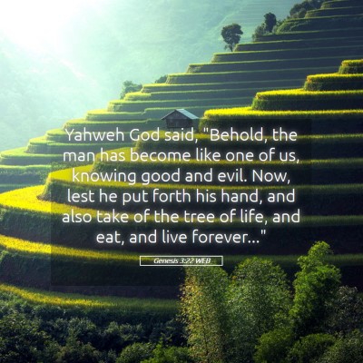 Picture 05 - Genesis 3:22 WEB - Yahweh God said, 