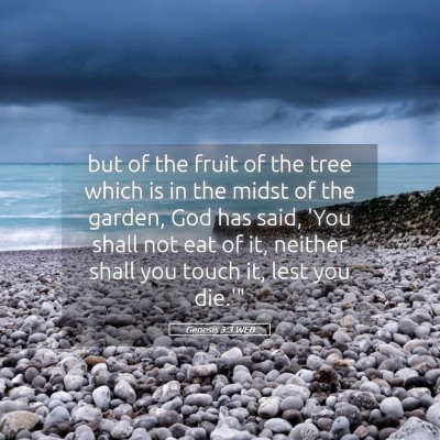 Picture 05 - Genesis 3:3 WEB - but of the fruit of the tree which is in the - Bible Verse Picture