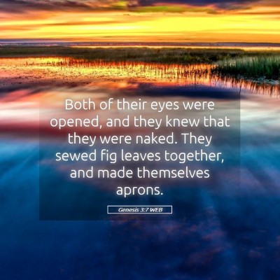 Picture 05 - Genesis 3:7 WEB - Both of their eyes were opened, and they knew - Bible Verse Picture