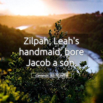 Picture 05 - Genesis 30:10 WEB - Zilpah, Leah's handmaid, bore Jacob a - Bible Verse Picture