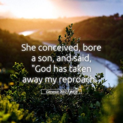 Picture 05 - Genesis 30:23 WEB - She conceived, bore a son, and said, 