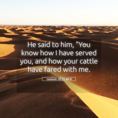 Picture 05 - Genesis 30:29 WEB - He said to him, 