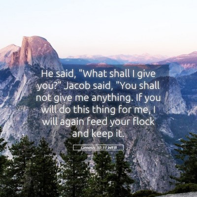 Picture 05 - Genesis 30:31 WEB - He said, 