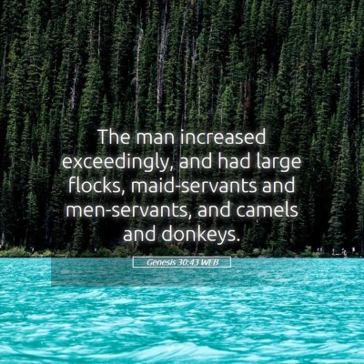 Picture 05 - Genesis 30:43 WEB - The man increased exceedingly, and had large - Bible Verse Picture