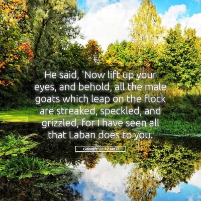 Picture 05 - Genesis 31:12 WEB - He said, 'Now lift up your eyes, and behold, all - Bible Verse Picture