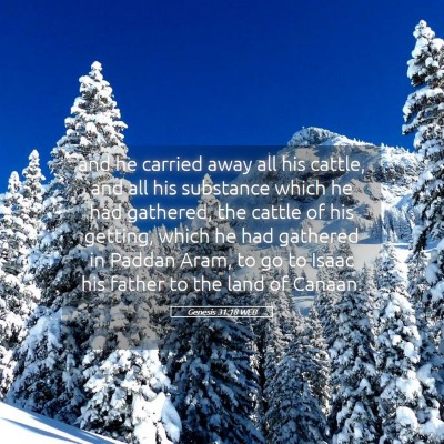 Picture 05 - Genesis 31:18 WEB - and he carried away all his cattle, and all his - Bible Verse Picture