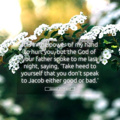 Picture 05 - Genesis 31:29 WEB - It is in the power of my hand to hurt you, but - Bible Verse Picture