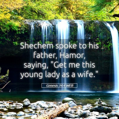 Picture 05 - Genesis 34:4 WEB - Shechem spoke to his father, Hamor, saying, 