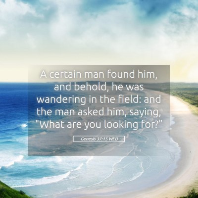 Picture 05 - Genesis 37:15 WEB - A certain man found him, and behold, he was - Bible Verse Picture
